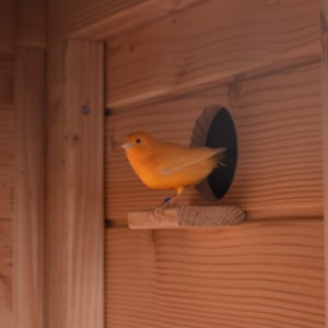 Volière Flex 3+.1+ is equipped with a perch under the flight hole