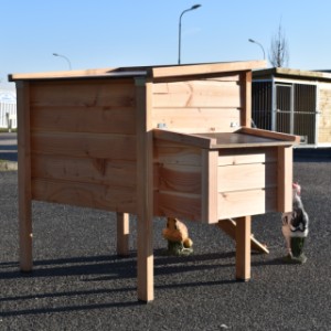 Have a look on the backside of chickencoop Chicky