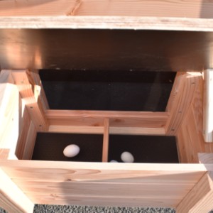 With the Chicky chicken coop, collecting eggs becomes easy