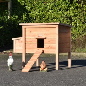 Wooden chickencoop Chicky is suitable for 4 till 8 chickens