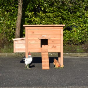 The chickencoop Chicky is made of Douglaswood