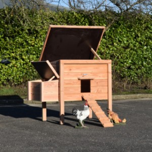 Hutch for youur chickens Chicky has hinged roofs