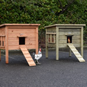 The Chicky 2 chicken coop is available in both Douglas wood and impregnated spruce wood