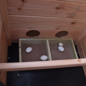 Chickencoop Chicky 2 is provided with a removable laying box
