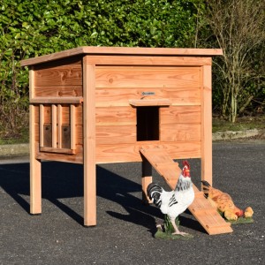 Chickencoop Chicky 2 · Douglaswood · 116x84x125cm