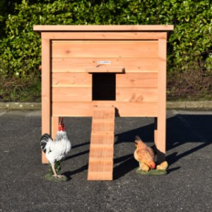 Chickencoop Chicky 2 is an acquisition for your yard