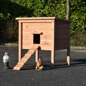 Chickencoop Chicky 2 is suitable for 4 till 8 chickens