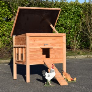 Chickencoop Chicky 2 is provided with a hinged roof