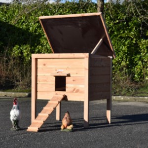 Chickencoop Chicky 2 has a plywood roof