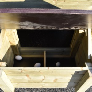 In the Chicky 2 chicken coop, you can easily collect the eggs