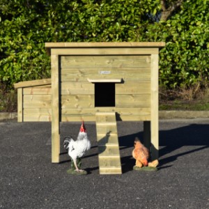 The chickencoop Chicky is provided for 4 till 8 chickens