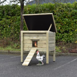 Chickencoop Chicky 2 has a plywood roof