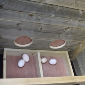 The sleeping compartment of chickencoop Chicky is provided with a removable laying box