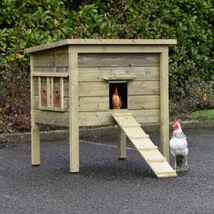 Chickencoop Chicky 2 · impregnated wood · 116x84x125cm