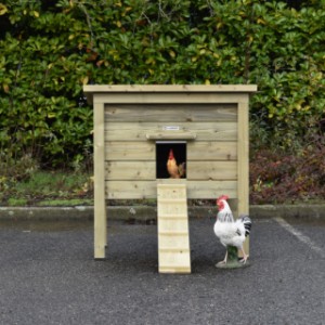 Chickencoop Chicky is suitable for 4 till 8 chickens