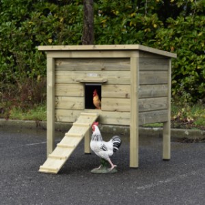 Chickencoop Chicky 2 is an acquisition for your yard
