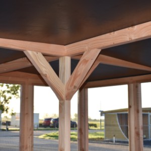 The cat run Flex 3.3 is provided with a plywood pointed roof