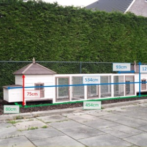 Various dimensions of the combination chickencoops Holiday Large