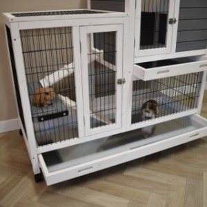 Rabbit cage Esmee has a practical tray