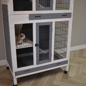 Rabbit cage Beau is made of pine wood