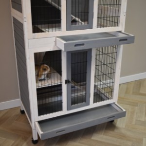 Rabbit cage Beau is provided with 2 trays