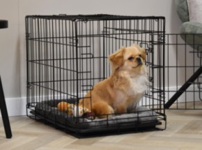 Dog crate Profit 63cm · 2-doors · 63x44x51cm