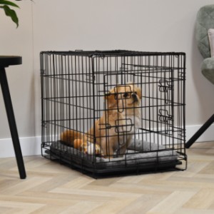 The Profit 63 cm dog crate is suitable for a small dog, such as a Boomer