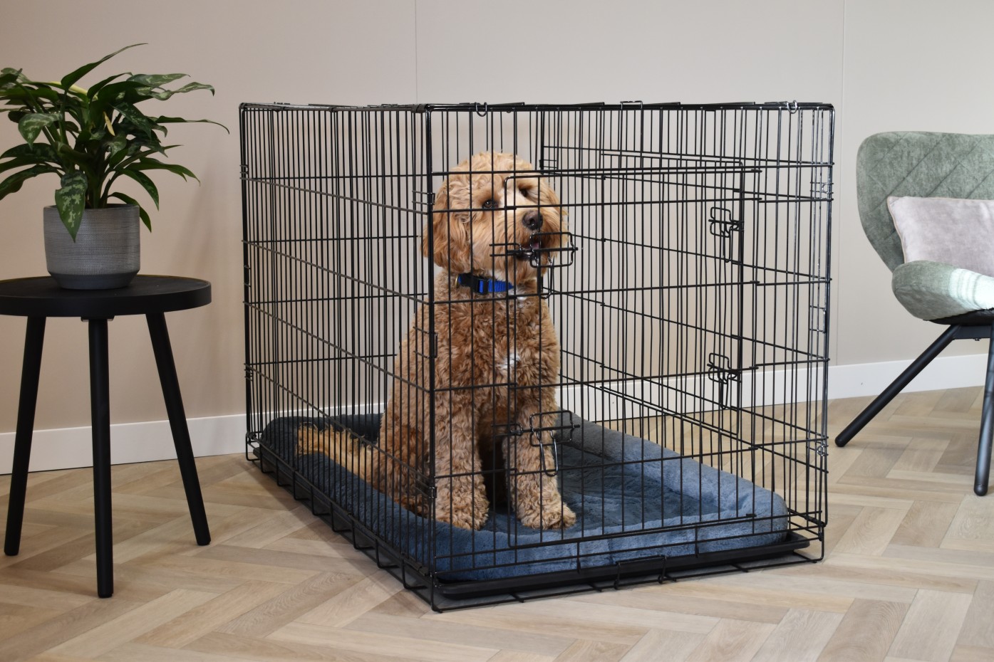Dog crate with pillow - Profit 122cm