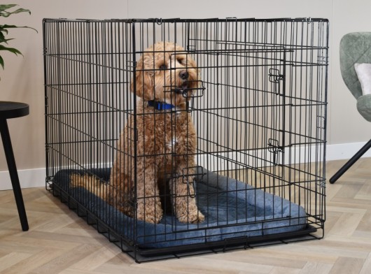 Dog crate with pillow · Profit XL 122cm · 2-doors · 122x74x80cm