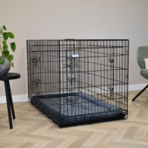 The Strong XXL dog crate is suitable for large dogs such as a Labrador Retriever
