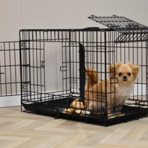 The Strong M dog crate is suitable for smaller dog breeds, such as the French Bulldog