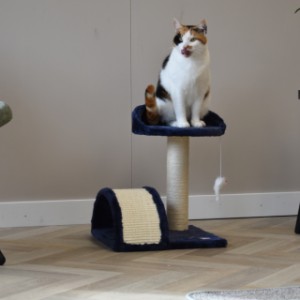 Cat tree Kasper offers a lot of fun for your cat
