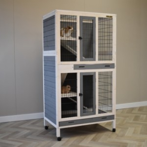 Rabbit cage Beau is suitable for 2 little rabbits