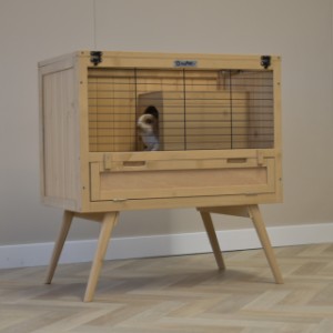 Guinea pig hutch Emma is a beautiful indoor cage