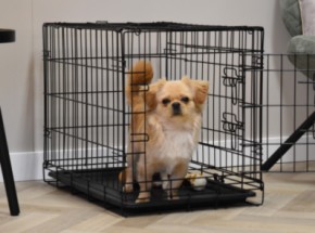 Dog crate Profit 63cm · 2-doors · 63x44x51cm