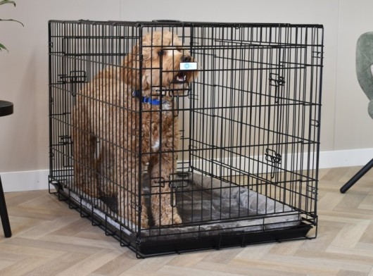 Dog crate with cushion - Strong XL · 3-doors · 109x71x78cm