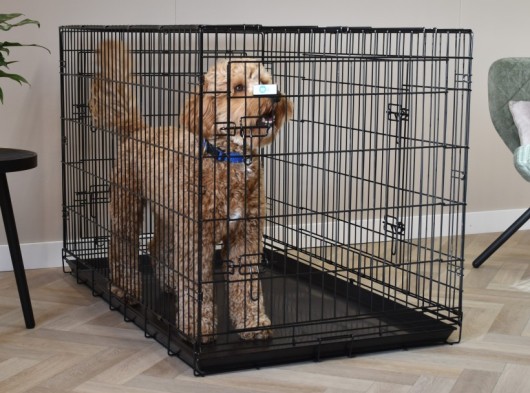 Dog crate Strong XXL · 3-doors · 124x76x83cm