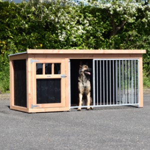 Dog kennel Isabelle 2 - 242x122x113cm