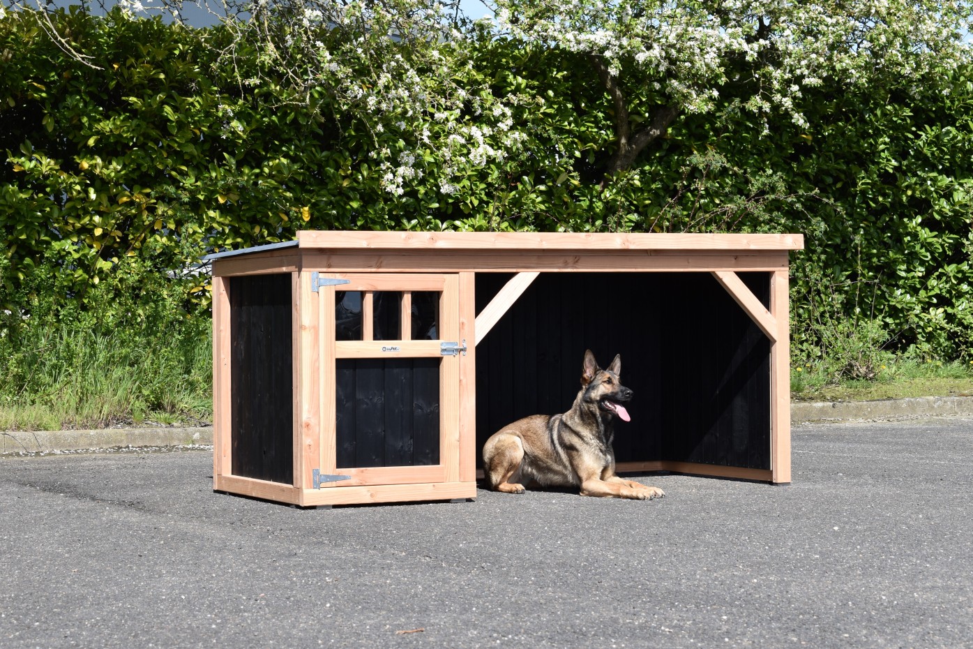 Dog house Isa 1