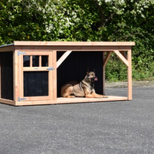 Dog house Isa 2 with veranda - Optionally available with a floor for the veranda
