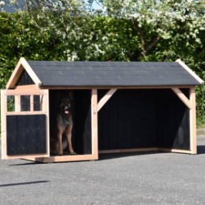 The hutch Isa offers a lot of space for your dog