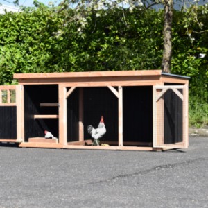 Chickencoop Belle 1 has one mesh panel at the front