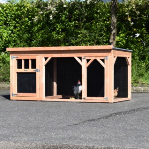 Chickencoop Belle 2 is an acquisition for your yard
