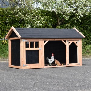 Chickencoop Belle 1 with pointed roof · Douglas/black · 254x129x140cm