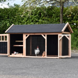 Chickencoop Belle has 2 large doors