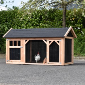 Chickencoop Belle is an acquisition for your yard
