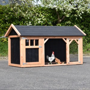 Chickencoop Belle 2 with pointed roof · Douglas/black · 254x129x140cm