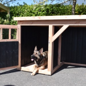 Dog house Isa 1 with veranda - plenty of space in the sleeping area for a (medium-)large dog.