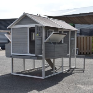 Have a look on the backside of chickencoop Royalty