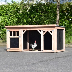 Chickencoop Belle is suitable for 5-10 chickens